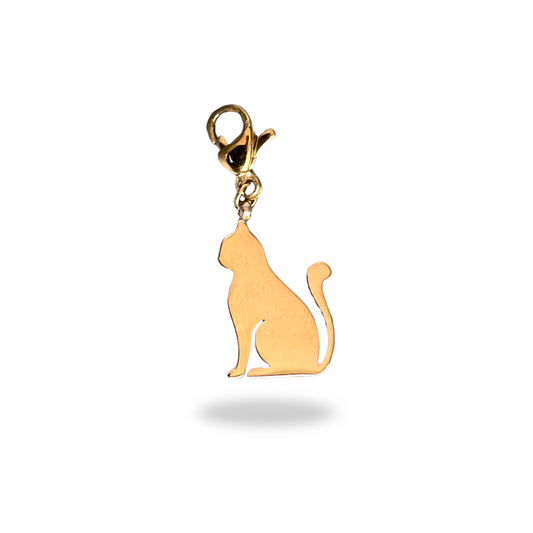 CHARM - CHAT